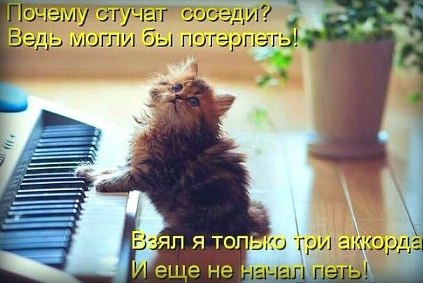  - 11  2014  17:01