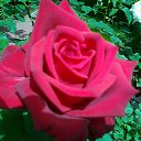 ���� ����, ���������, 58 ��� - ��������� 5 ���� 2014 � ������ ���� ����������