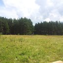 ���� �������, �����-��������� - ��������� 21 ���� 2014 � ������ ������ ��������