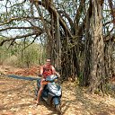  ,  -  8  2014    2014  ,  , 