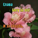 ���� �������, ������������, 66 ��� - ��������� 12 ������� 2014 � ������ ���� ����������