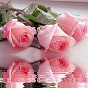 � ����� �������� ���� vk.com/fotiko �� ������� ��������� ���� � fotiko.ru�