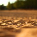 ���� �����, �����-��������� - ��������� 21 ���� 2014 � ������ ���� ������� ����