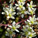 ���� ������, �����, 66 ��� - ��������� 2 ���� 2014 � ������ ���� ����������