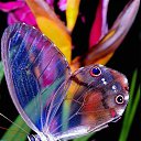 ���� �����, �������, 41 ��� - ��������� 10 ������ 2014 � ������ ������ ��������