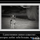 ���� ������, ������, 56 ��� - ��������� 13 ���� 2014 � ������ ���� ����������