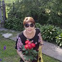 ���� ����, �������� - ��������� 3 ������� 2014 � ������ ������ ��������