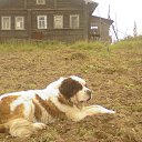 ���� �����, �������, 53 ���� - ��������� 3 ���� 2014