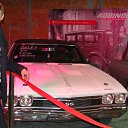 ���� �����, �����-���������, 41 ��� - ��������� 14 ��� 2014 � ������ ���� ����������