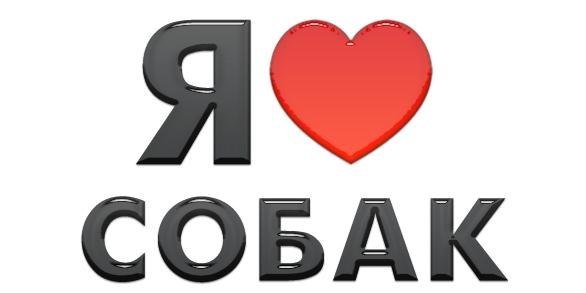 .•°Dogs Forever°•. - 6  2014  20:35