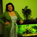 ���� �������, �����-���������, 55 ��� - ��������� 12 ���� 2014