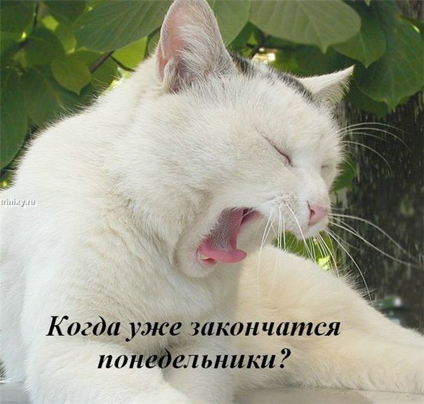  - 11  2014  23:03