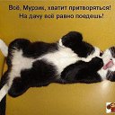 ���� *���*-��, ������ - ��������� 22 ������ 2014 � ������ ������ ��������