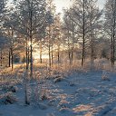 ���� �������, �������, 34 ���� - ��������� 7 ��� 2014