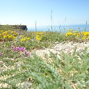 ������� �� ������� ���� 2014, ����, ������������