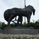  , , 49  -  22  2014      21 