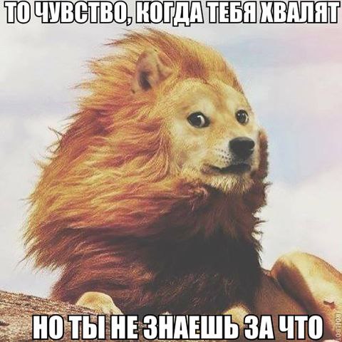  - 1  2014  16:32
