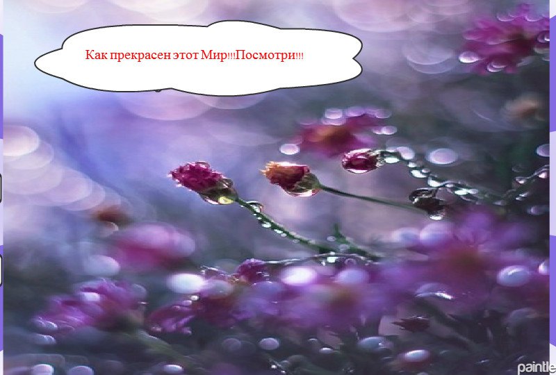    !     .    ,  ...     ...