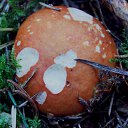 ���� �����, �����, 64 ���� - ��������� 6 ��� 2014 � ������ ������������ ������