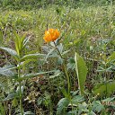 ���� �������, �����, 75 ��� - ��������� 19 ��� 2014 � ������ ������� �����, 18.05.2014�