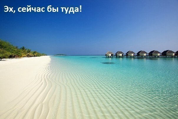   ...)))