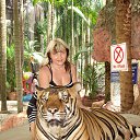 ���� ��������, ������-��-����, 47 ��� - ��������� 21 ��� 2014 � ������ ���� ����������