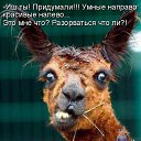 ���� ������, ������, 60 ��� - ��������� 29 ������ 2014 � ������ �������