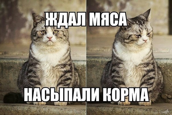  -  - 20  2014  07:44