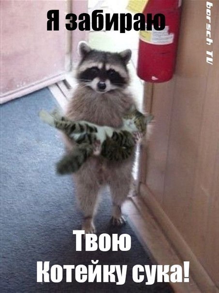 ������� (999999999) - 22 ����� 2014 � 14:59