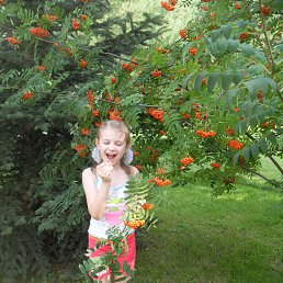 ���� �����, �������� - ��������� 1 ���� 2014