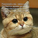 ���� ��������, ���� - ��������� 2 ������� 2014 � ������ ������ ��������