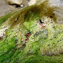 ���� Vikecha, ������ - ��������� 1 ���� 2014 � ������ ������� ������,���� �������(�������),����������� �-���