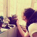 ���� ����, �����-��������� - ��������� 18 ���� 2014 � ������ ������)�