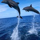 ���� Natsu, ������ - ��������� 12 ������ 2014 � ������ ������ ��������