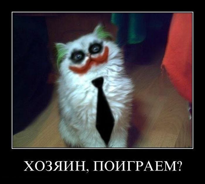   : <a href=