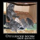���� ��������, ��������, 47 ��� - ��������� 25 ���� 2014 � ������ ���� ����������