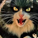  , , 32  -  15  2014   Black Metal Kat