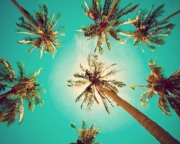   .. - 30  2014  15:32 - 5