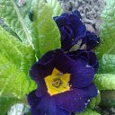 ���� �������, ������, 58 ��� - ��������� 1 ������ 2014 � ������ ��������