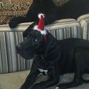 ���� ������, ����, 43 ���� - ��������� 8 ��� 2014 � ������ ���� ����������