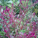 ���� ����, ��������, 54 ���� - ��������� 7 ������ 2014 � ������ �1�