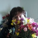 ���� �����, �������, 53 ���� - ��������� 7 ��� 2014 � ������ ���� ����������