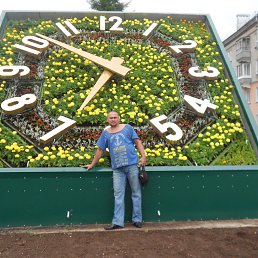 ���� ������, �������, 41 ��� - ��������� 6 ���� 2014