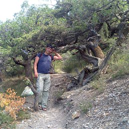 ���� ���������, ���������, 51 ��� - ��������� 8 ��� 2014