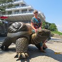 ������ �� ������� ���� ����������