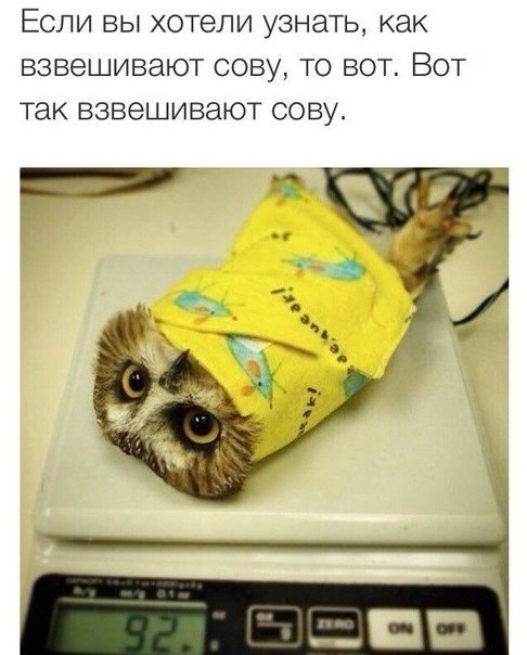   - 22  2014  00:35