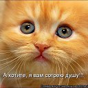 ���� ����, �����-���������, 59 ��� - ��������� 13 ���� 2014 � ������ ������ ��������
