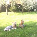 ���� ��������, ������, 72 ���� - ��������� 17 ���� 2014 � ������ ���� ����������