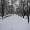 ���� ���������, ���, 64 ���� - ��������� 7 ������� 2014 � ������ ���� ����������