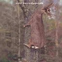 ���� ������, �����-���������, 69 ��� - ��������� 3 ���� 2014